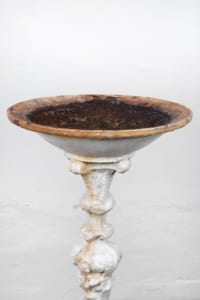 English bird bath