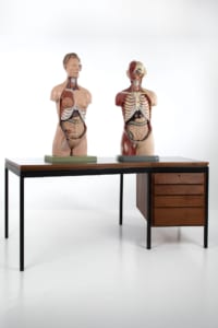 mid-century angled desk anatomical figures