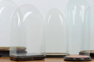 Antique Victorian decorative glass museum display domes