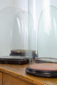 Vintage 19th century decorative glass museum display domes