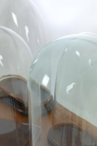 Antique decorative glass museum display domes
