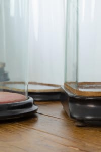 Victorian decorative glass museum display domes