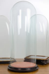 19th century decorative glass domes