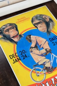 W.E Berry Bertram Circus Poster Artwork
