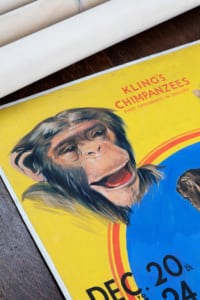 Vintage circus artwork poster
