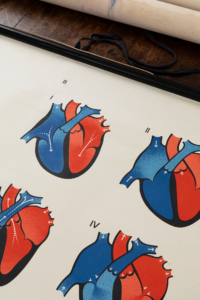 Medical wall poster