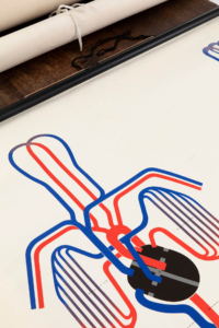 Vintage anatomical wall chart