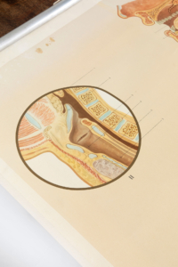 Ernst Klett Verlag Stuttgart