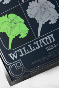 William Morris collectible art