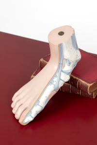 Medical teaching aid
