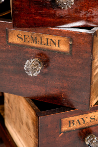 Georgian pharmacy drawers