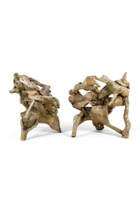 antique Teak furniture