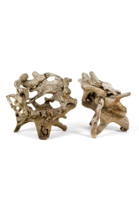 root chairs